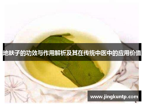 地肤子的功效与作用解析及其在传统中医中的应用价值 地肤子的功效与作用解析及其在传统中医中的应用价值