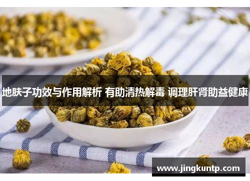 地肤子功效与作用解析 有助清热解毒 调理肝肾助益健康 地肤子功效与作用解析 有助清热解毒 调理肝肾助益健康